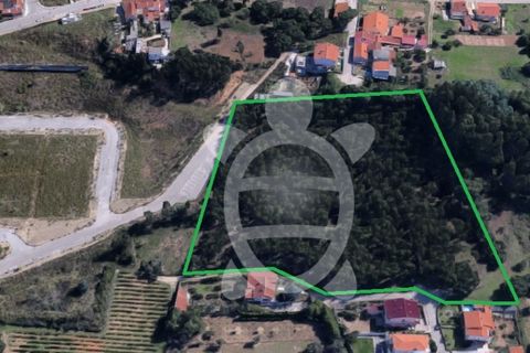 Helårsgrund i Coimbra, Coimbra, Coimbra - € 400.000 | Ref: cbr3165 - foto 3