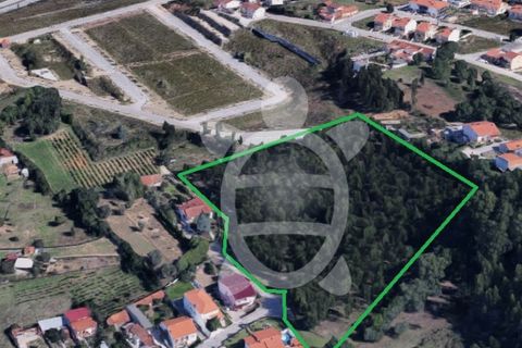 Helårsgrund i Coimbra, Coimbra, Coimbra - € 400.000 | Ref: cbr3165 - foto 4