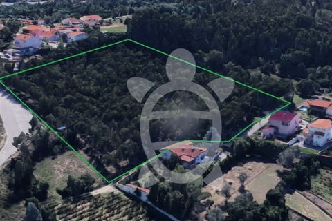 Helårsgrund i Coimbra, Coimbra, Coimbra - € 400.000 | Ref: cbr3165 - foto 5