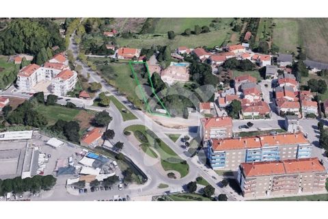 Terra a Condeixa-a-Nova, Coimbra, Condeixa-a-Nova - € 150.000 | Ref: cbr3166 - foto 5