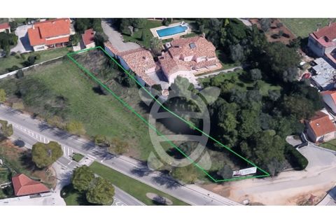 Terra a Condeixa-a-Nova, Coimbra, Condeixa-a-Nova - € 150.000 | Ref: cbr3166 - foto 7
