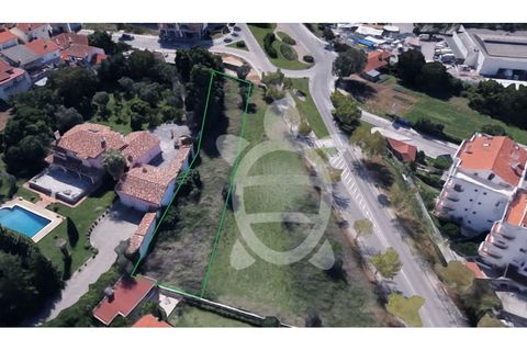 Terra a Condeixa-a-Nova, Coimbra, Condeixa-a-Nova - € 150.000 | Ref: cbr3166 - foto 8