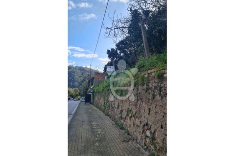 Tomt i Ceira, Coimbra, Ceira - € 30 000 | Ref: cbr3126 - foto 5