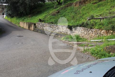 Tomt i Ceira, Coimbra, Ceira - € 65 000 | Ref: cbr3122 - foto 2