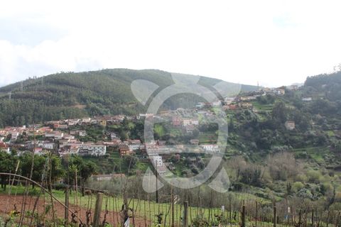 Tomt i Ceira, Coimbra, Ceira - € 65 000 | Ref: cbr3122 - foto 4