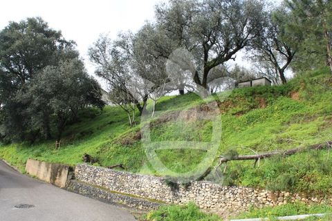 Tomt i Ceira, Coimbra, Ceira - € 65 000 | Ref: cbr3122 - foto 5