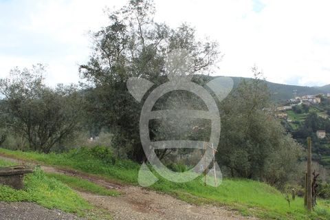 Tomt i Ceira, Coimbra, Ceira - € 65 000 | Ref: cbr3122 - foto 7