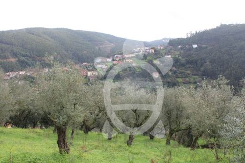 Tomt i Ceira, Coimbra, Ceira - € 65 000 | Ref: cbr3122 - foto 9