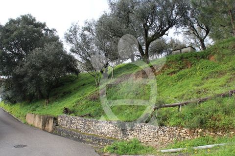 Tomt i Ceira, Coimbra, Ceira - € 65 000 | Ref: cbr3122 - foto 10