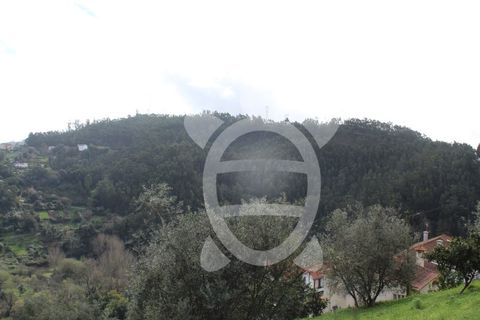 Tomt i Ceira, Coimbra, Ceira - € 65 000 | Ref: cbr3122 - foto 12