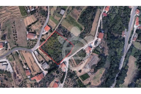 Tomt i Ceira, Coimbra, Ceira - € 65 000 | Ref: cbr3122 - foto 14