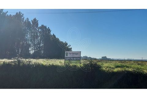 Helårsgrund i Cantanhede, Coimbra, Cantanhede - € 69.000 | Ref: cbr3095 - foto 7