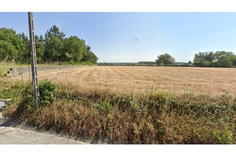 Helårsgrund i Cantanhede, Coimbra, Cantanhede - € 69.000 | Ref: cbr3095 - foto 2