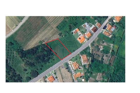 Helårsgrund i Cantanhede, Coimbra, Cantanhede - € 69.000 | Ref: cbr3095 - foto 6