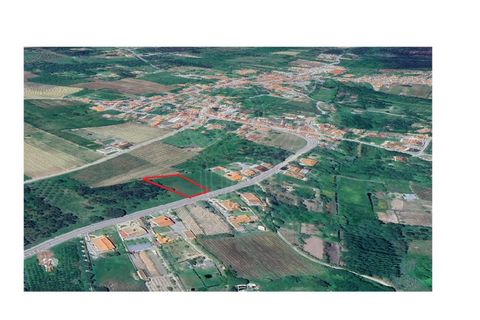 Helårsgrund i Cantanhede, Coimbra, Cantanhede - € 69.000 | Ref: cbr3095 - foto 8