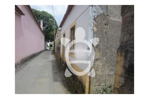 Helårsgrund i Coimbra, Coimbra, Coimbra - € 650.000 | Ref: cbr3087 - foto 6