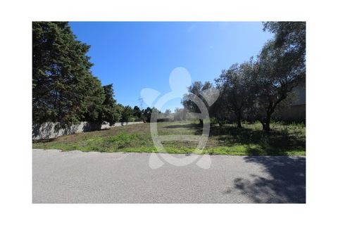 Helårsgrund i Cantanhede, Coimbra, Cantanhede - € 35.000 | Ref: cbr3084 - foto 1