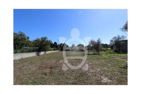 Helårsgrund i Cantanhede, Coimbra, Cantanhede - € 35.000 | Ref: cbr3084 - foto 6