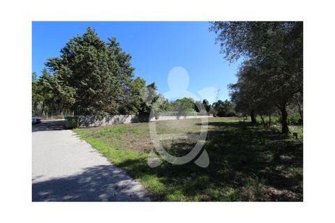 Helårsgrund i Cantanhede, Coimbra, Cantanhede - € 35.000 | Ref: cbr3084 - foto 4