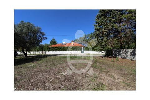 Helårsgrund i Cantanhede, Coimbra, Cantanhede - € 35.000 | Ref: cbr3084 - foto 7
