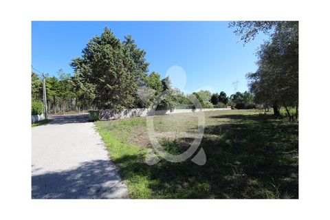 Helårsgrund i Cantanhede, Coimbra, Cantanhede - € 35.000 | Ref: cbr3084 - foto 8