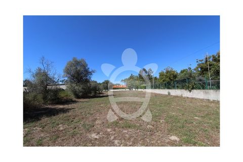 Helårsgrund i Cantanhede, Coimbra, Cantanhede - € 35.000 | Ref: cbr3084 - foto 9