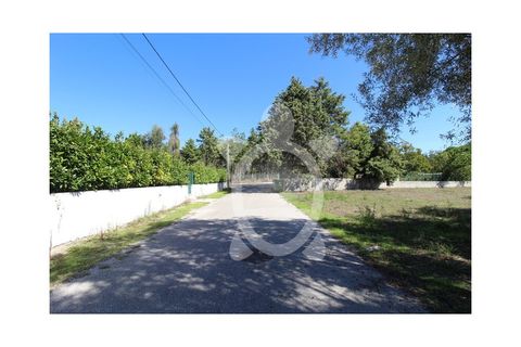 Helårsgrund i Cantanhede, Coimbra, Cantanhede - € 35.000 | Ref: cbr3084 - foto 10