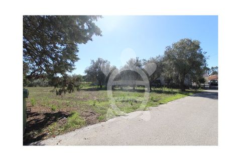 Helårsgrund i Cantanhede, Coimbra, Cantanhede - € 35.000 | Ref: cbr3084 - foto 11