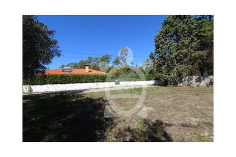Helårsgrund i Cantanhede, Coimbra, Cantanhede - € 35.000 | Ref: cbr3084 - foto 12