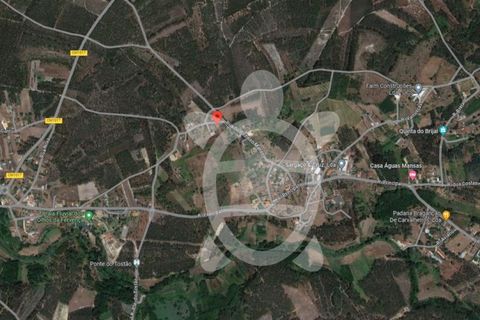 Helårsgrund i Cantanhede, Coimbra, Cantanhede - € 35.000 | Ref: cbr3084 - foto 13