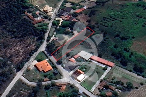 Helårsgrund i Cantanhede, Coimbra, Cantanhede - € 35.000 | Ref: cbr3084 - foto 2