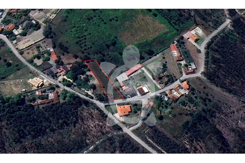 Helårsgrund i Cantanhede, Coimbra, Cantanhede - € 35.000 | Ref: cbr3084 - foto 15