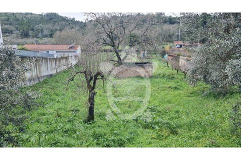 Tomt i Assafarge e Antanhol, Coimbra, Assafarge e Antanhol - € 75 000 | Ref: cbr3121 - foto 3
