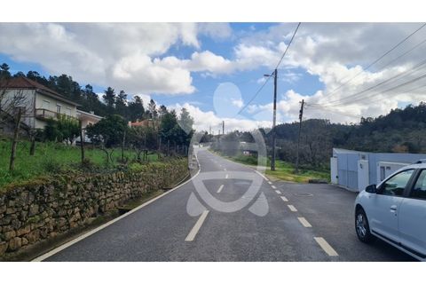 Tomt i Assafarge e Antanhol, Coimbra, Assafarge e Antanhol - € 75 000 | Ref: cbr3121 - foto 4