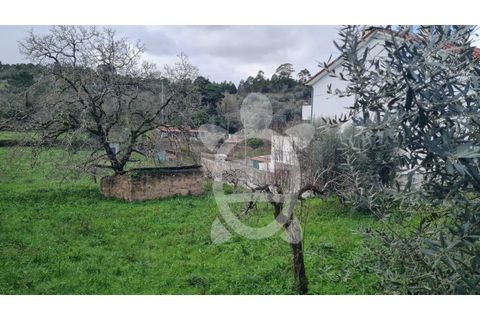 Tomt i Assafarge e Antanhol, Coimbra, Assafarge e Antanhol - € 75 000 | Ref: cbr3121 - foto 6