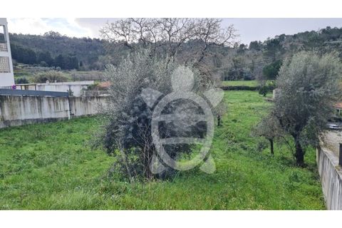 Tomt i Assafarge e Antanhol, Coimbra, Assafarge e Antanhol - € 75 000 | Ref: cbr3121 - foto 7