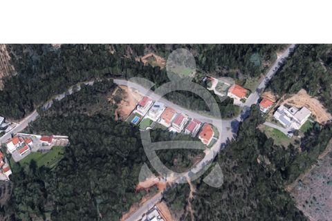 Helårsgrund i Assafarge e Antanhol, Coimbra, Assafarge e Antanhol - € 58.000 | Ref: cbr3073 - foto 4
