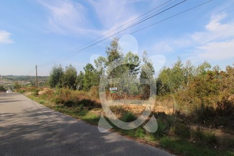 Helårsgrund i Assafarge e Antanhol, Coimbra, Assafarge e Antanhol - € 58.000 | Ref: cbr3073 - foto 6