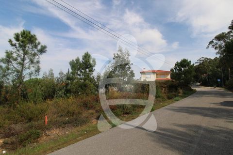 Helårsgrund i Assafarge e Antanhol, Coimbra, Assafarge e Antanhol - € 58.000 | Ref: cbr3073 - foto 7