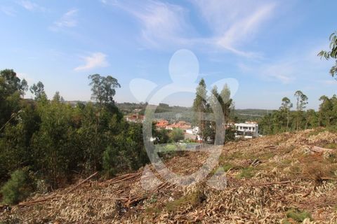 Helårsgrund i Assafarge e Antanhol, Coimbra, Assafarge e Antanhol - € 58.000 | Ref: cbr3073 - foto 8