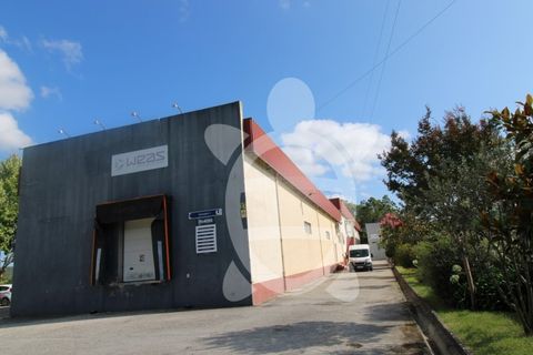 Erhvervsejendom i Cernache, Coimbra, Cernache - € 790.000 | Ref: cbr3055 - foto 4