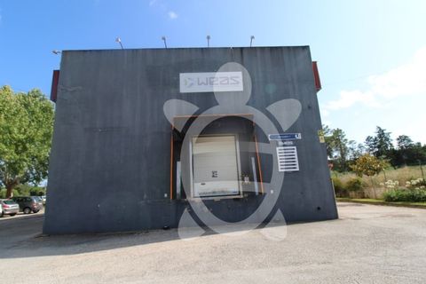 Erhvervsejendom i Cernache, Coimbra, Cernache - € 790.000 | Ref: cbr3055 - foto 5