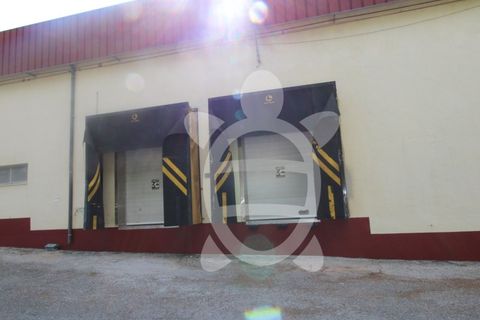 Erhvervsejendom i Cernache, Coimbra, Cernache - € 790.000 | Ref: cbr3055 - foto 6