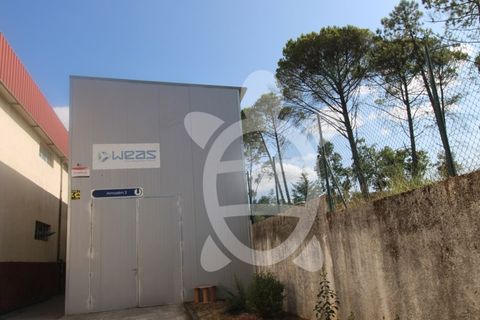 Erhvervsejendom i Cernache, Coimbra, Cernache - € 790.000 | Ref: cbr3055 - foto 7