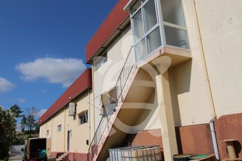 Erhvervsejendom i Cernache, Coimbra, Cernache - € 790.000 | Ref: cbr3055 - foto 8