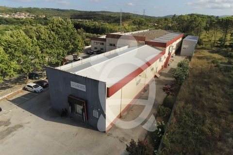 Erhvervsejendom i Cernache, Coimbra, Cernache - € 790.000 | Ref: cbr3055 - foto 2