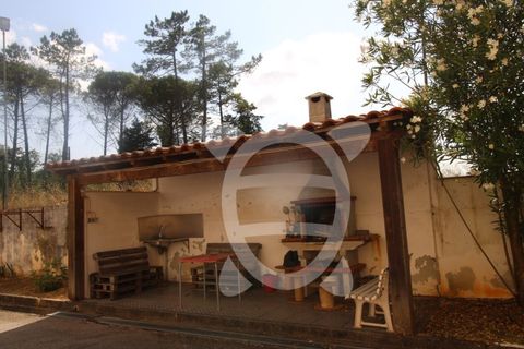 Erhvervsejendom i Cernache, Coimbra, Cernache - € 790.000 | Ref: cbr3055 - foto 9