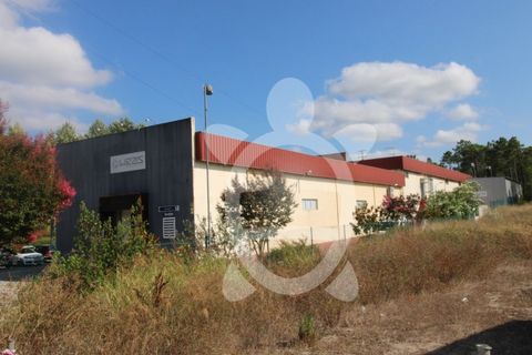 Erhvervsejendom i Cernache, Coimbra, Cernache - € 790.000 | Ref: cbr3055 - foto 11
