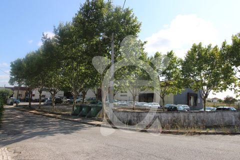 Erhvervsejendom i Cernache, Coimbra, Cernache - € 790.000 | Ref: cbr3055 - foto 12