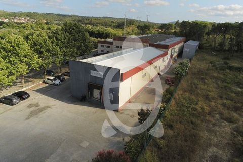 Erhvervsejendom i Cernache, Coimbra, Cernache - € 790.000 | Ref: cbr3055 - foto 3